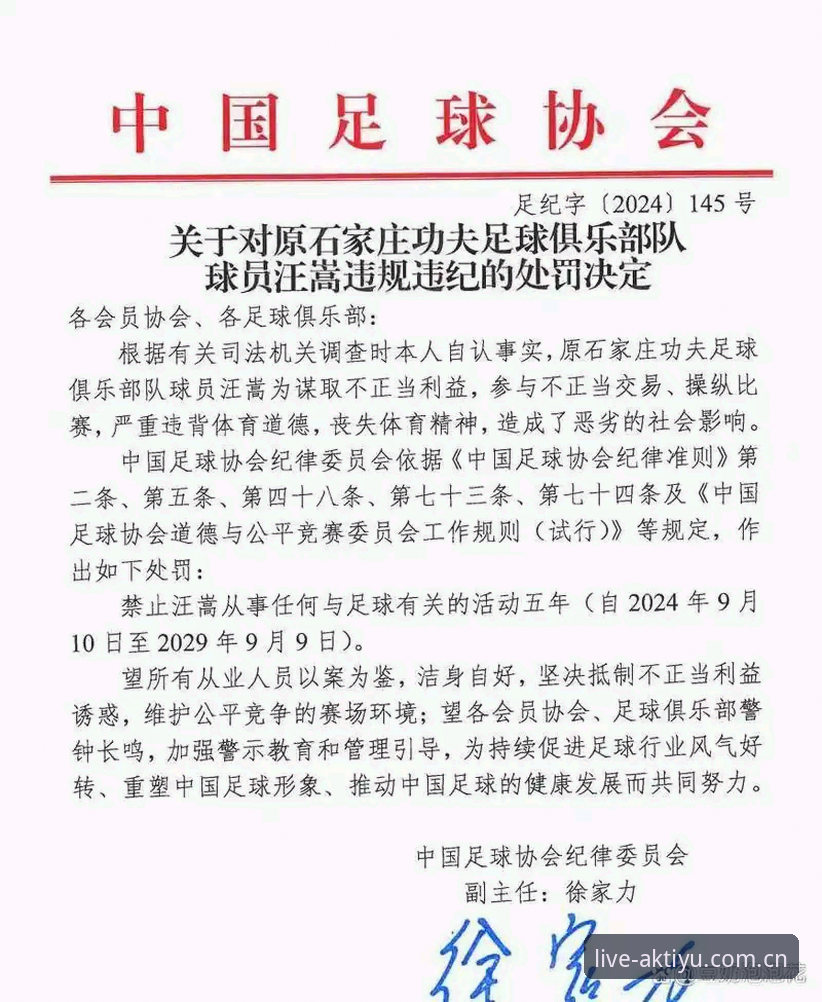 AK体育APP靠谱吗推荐 中国足球整治风暴深度评测:第三批禁足名单与行业变革全面解析